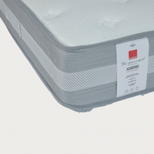 acanthus_label