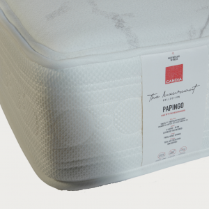 papingo_label